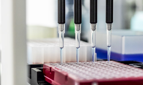 A machine holding a row of pipettes injects liquid into a samples tray