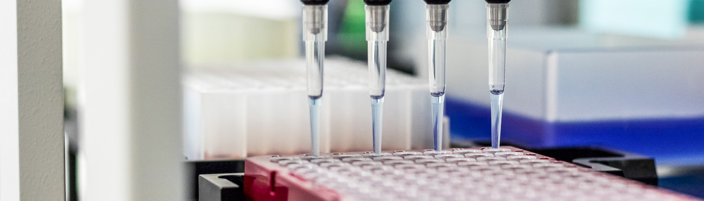 A row of pipettes attached to a machine, inject liquid into a sample tray