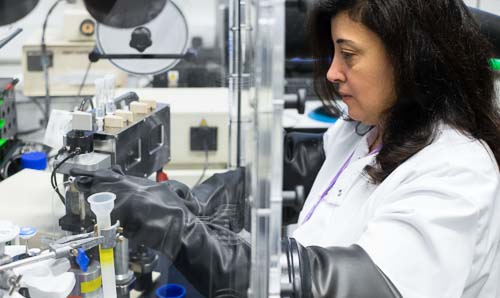 A female scientist carries out work in a fume cupboard.