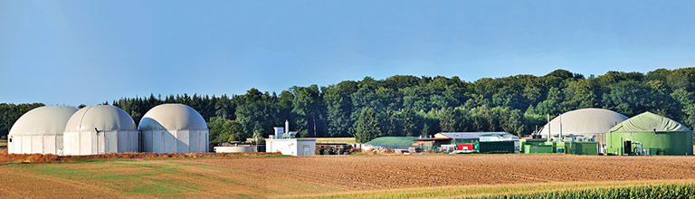 Bio fuel plant panorama with forest in background