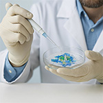 A scientist pipettes something into a petri dish full of plastic chips.