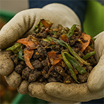 Hands hold waste food that can be turned into energy or other useful products.