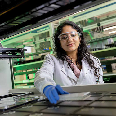 A scientist loads samples into a Hamilton machine.