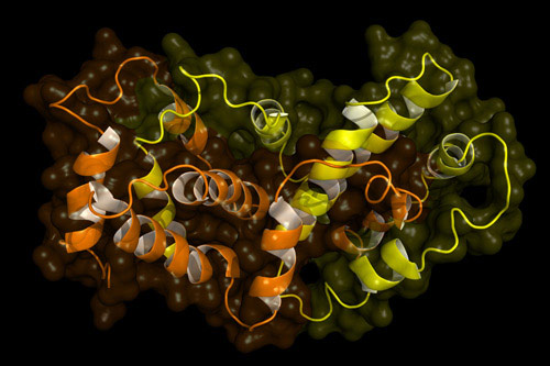 A protein structure composed of a series of alpha-helices  
