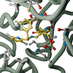 A 3D render of a protein structure.