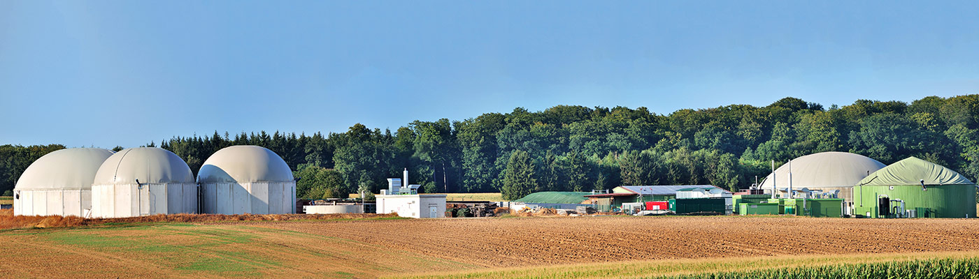 Bio fuel plant panorama with forest in background
